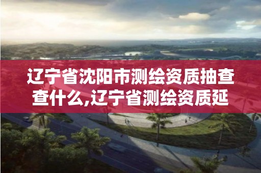 辽宁省沈阳市测绘资质抽查查什么,辽宁省测绘资质延期