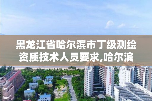 黑龙江省哈尔滨市丁级测绘资质技术人员要求,哈尔滨测绘局工资怎么样。 黑龙江省哈尔滨市丁级测绘资质技术人员要求,哈尔滨测绘局工资怎么样。