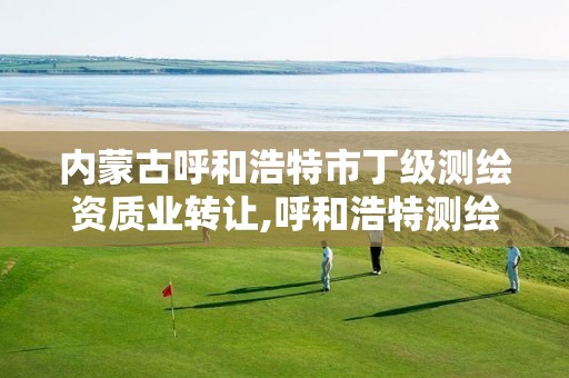 内蒙古呼和浩特市丁级测绘资质业转让,呼和浩特测绘局属于什么单位管理