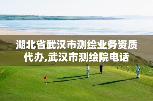 湖北省武汉市测绘业务资质代办,武汉市测绘院电话