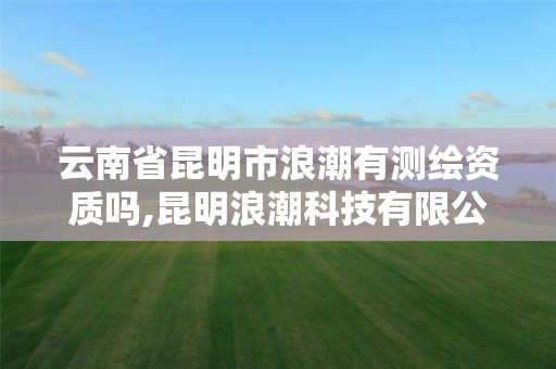 云南省昆明市浪潮有测绘资质吗,昆明浪潮科技有限公司厂房