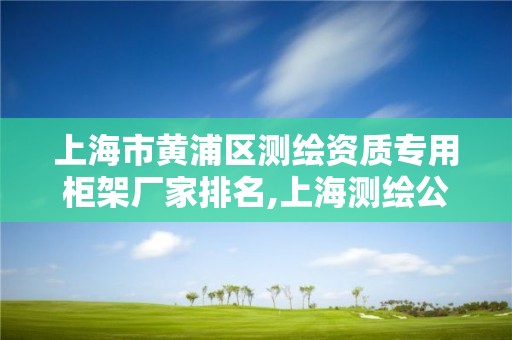 上海市黄浦区测绘资质专用柜架厂家排名,上海测绘公司排名名单。