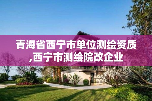 青海省西宁市单位测绘资质,西宁市测绘院改企业