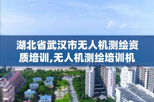 湖北省武汉市无人机测绘资质培训,无人机测绘培训机构