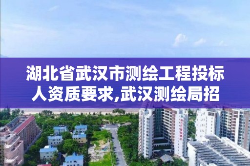 湖北省武汉市测绘工程投标人资质要求,武汉测绘局招聘。