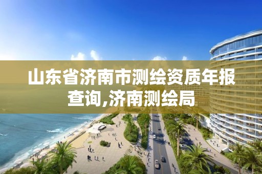 山东省济南市测绘资质年报查询,济南测绘局