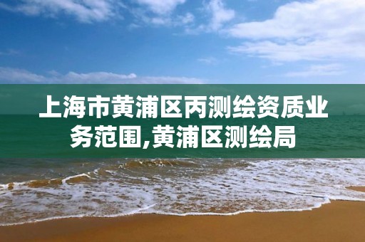 上海市黄浦区丙测绘资质业务范围,黄浦区测绘局