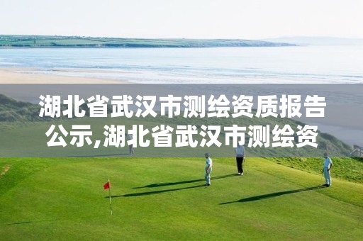 湖北省武汉市测绘资质报告公示,湖北省武汉市测绘资质报告公示名单