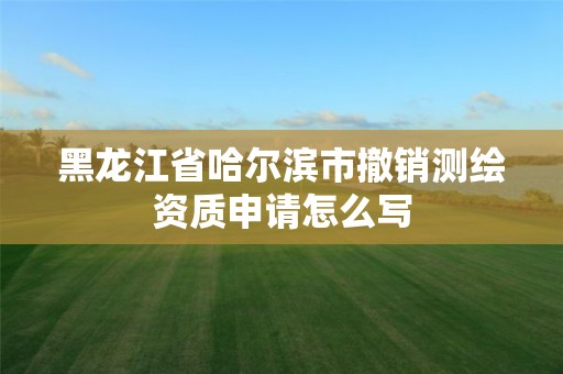 黑龙江省哈尔滨市撤销测绘资质申请怎么写
