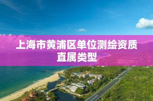 上海市黄浦区单位测绘资质直属类型 上海市黄浦区单位测绘资质直属类型