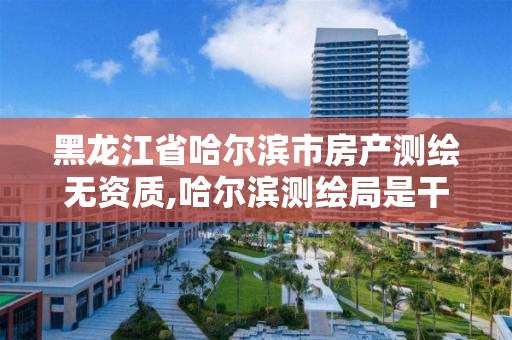 黑龙江省哈尔滨市房产测绘无资质,哈尔滨测绘局是干什么的 黑龙江省哈尔滨市房产测绘无资质,哈尔滨测绘局是干什么的