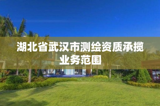 湖北省武汉市测绘资质承揽业务范围