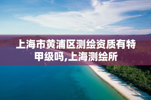 上海市黄浦区测绘资质有特甲级吗,上海测绘所