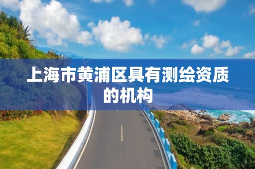 上海市黄浦区具有测绘资质的机构