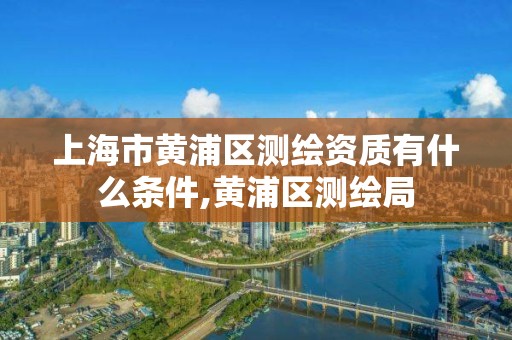 上海市黄浦区测绘资质有什么条件,黄浦区测绘局