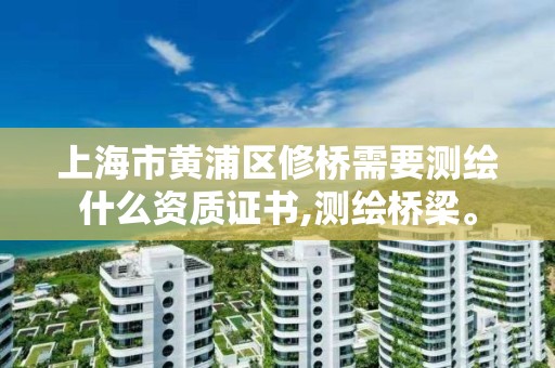 上海市黄浦区修桥需要测绘什么资质证书,测绘桥梁。