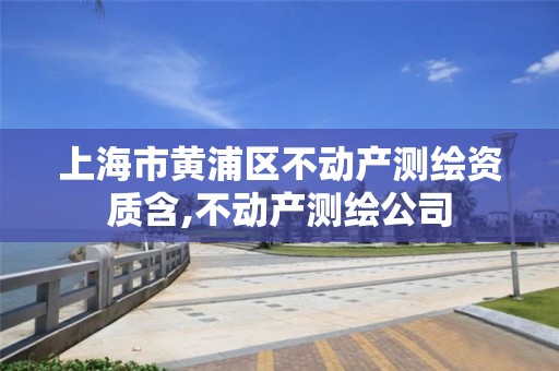 上海市黄浦区不动产测绘资质含,不动产测绘公司