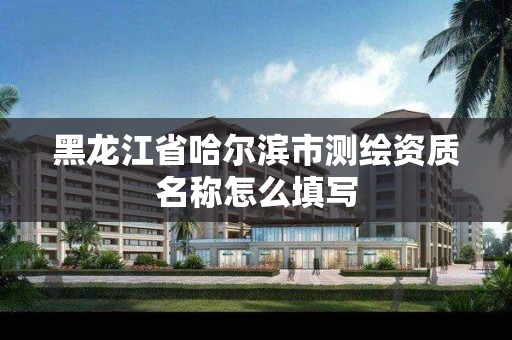 黑龙江省哈尔滨市测绘资质名称怎么填写 黑龙江省哈尔滨市测绘资质名称怎么填写