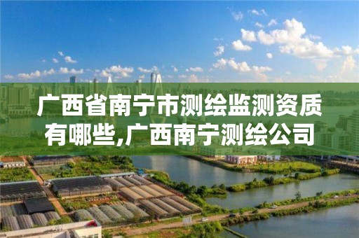 广西省南宁市测绘监测资质有哪些,广西南宁测绘公司排名 广西省南宁市测绘监测资质有哪些,广西南宁测绘公司排名