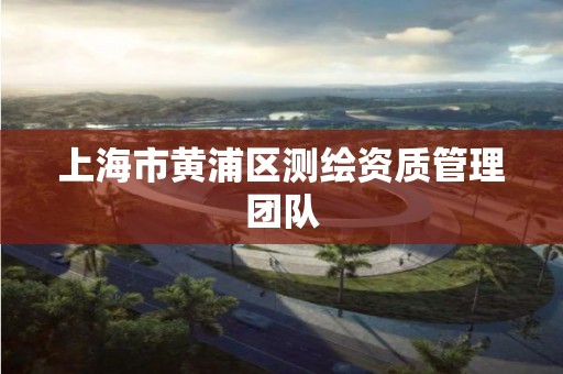 上海市黄浦区测绘资质管理团队