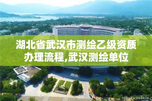 湖北省武汉市测绘乙级资质办理流程,武汉测绘单位
