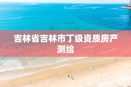 吉林省吉林市丁级资质房产测绘