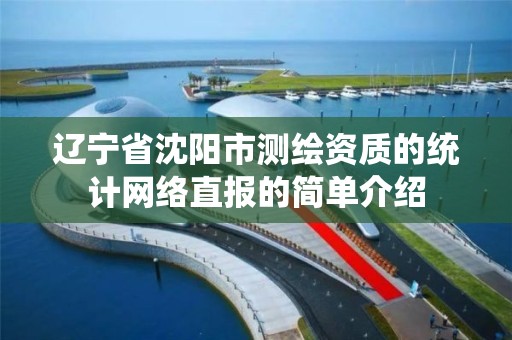辽宁省沈阳市测绘资质的统计网络直报的简单介绍