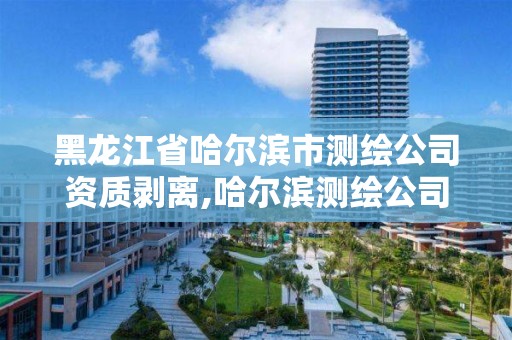 黑龙江省哈尔滨市测绘公司资质剥离,哈尔滨测绘公司电话