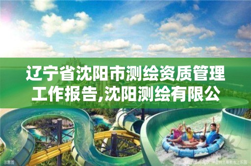 辽宁省沈阳市测绘资质管理工作报告,沈阳测绘有限公司。