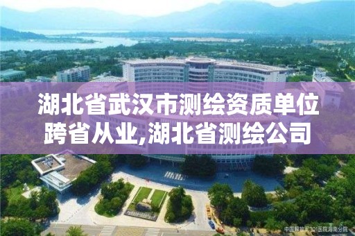 湖北省武汉市测绘资质单位跨省从业,湖北省测绘公司