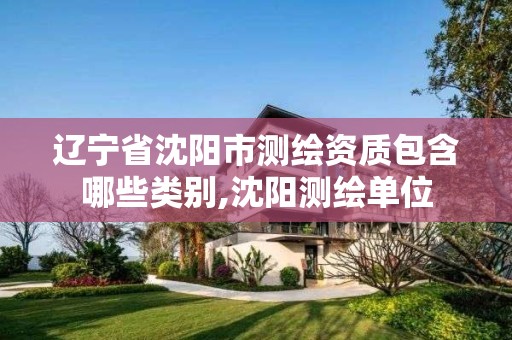 辽宁省沈阳市测绘资质包含哪些类别,沈阳测绘单位