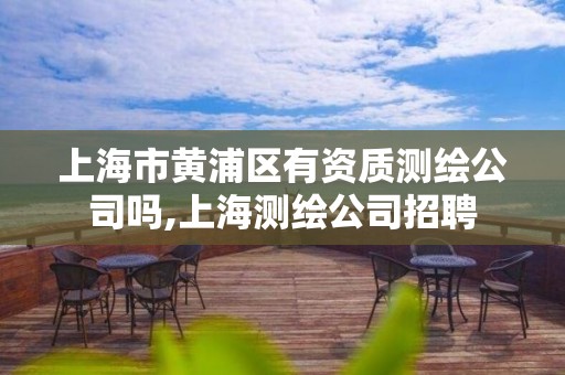 上海市黄浦区有资质测绘公司吗,上海测绘公司招聘 上海市黄浦区有资质测绘公司吗,上海测绘公司招聘