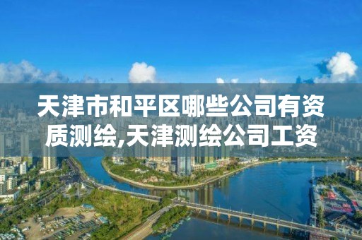 天津市和平区哪些公司有资质测绘,天津测绘公司工资排行