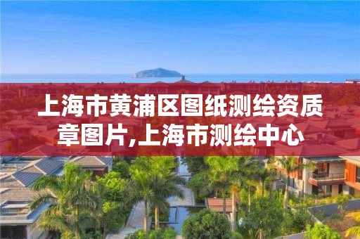 上海市黄浦区图纸测绘资质章图片,上海市测绘中心