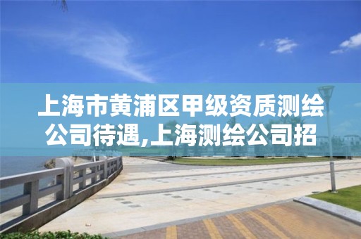 上海市黄浦区甲级资质测绘公司待遇,上海测绘公司招聘