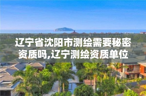 辽宁省沈阳市测绘需要秘密资质吗,辽宁测绘资质单位