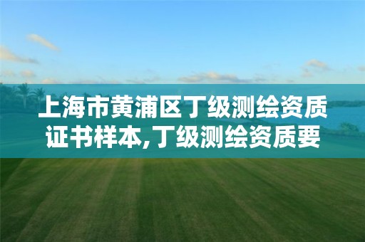 上海市黄浦区丁级测绘资质证书样本,丁级测绘资质要求。