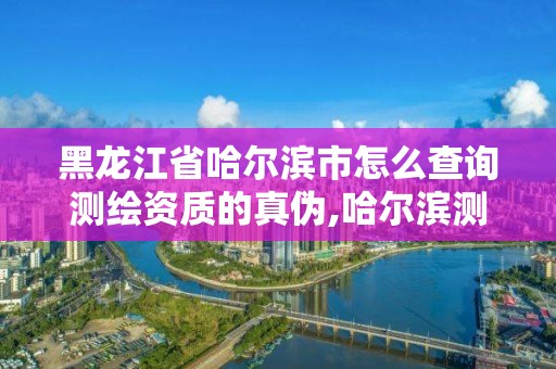 黑龙江省哈尔滨市怎么查询测绘资质的真伪,哈尔滨测绘地理信息局。