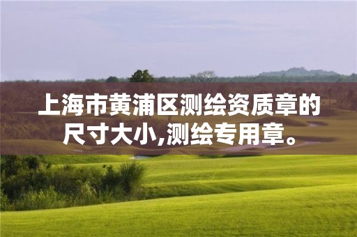 上海市黄浦区测绘资质章的尺寸大小,测绘专用章。 上海市黄浦区测绘资质章的尺寸大小,测绘专用章。