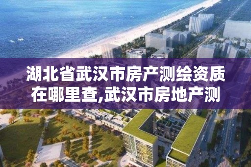 湖北省武汉市房产测绘资质在哪里查,武汉市房地产测绘实施细则。