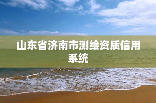 山东省济南市测绘资质信用系统