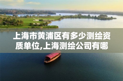 上海市黄浦区有多少测绘资质单位,上海测绘公司有哪几家。