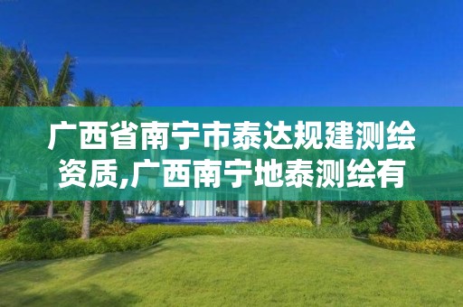 广西省南宁市泰达规建测绘资质,广西南宁地泰测绘有限公司