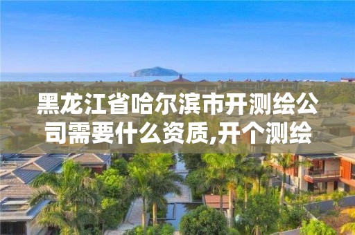 黑龙江省哈尔滨市开测绘公司需要什么资质,开个测绘公司有前景吗。