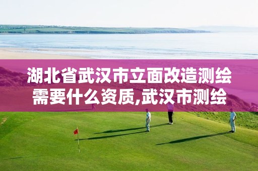 湖北省武汉市立面改造测绘需要什么资质,武汉市测绘工程技术规定。