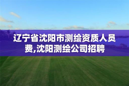 辽宁省沈阳市测绘资质人员费,沈阳测绘公司招聘