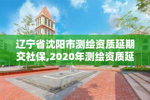 辽宁省沈阳市测绘资质延期交社保,2020年测绘资质延期