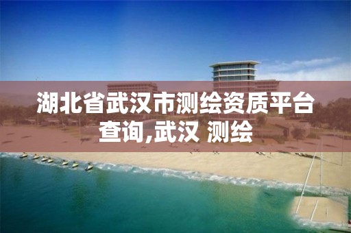 湖北省武汉市测绘资质平台查询,武汉 测绘