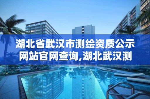 湖北省武汉市测绘资质公示网站官网查询,湖北武汉测绘局。