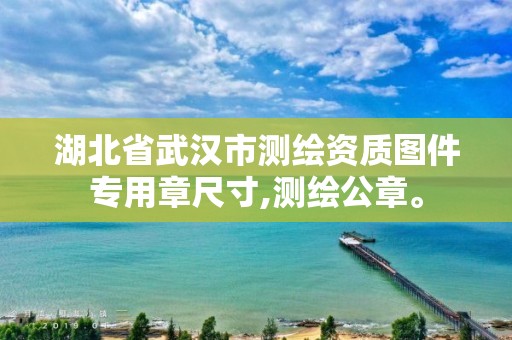 湖北省武汉市测绘资质图件专用章尺寸,测绘公章。